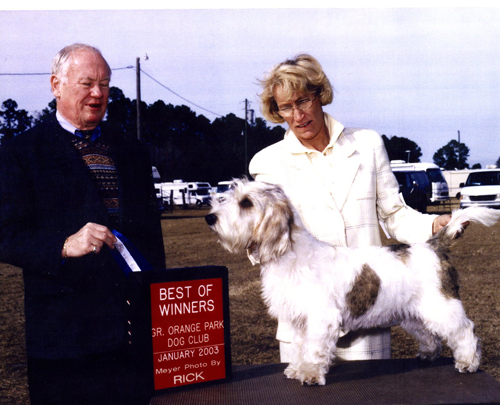 thumper pbgv