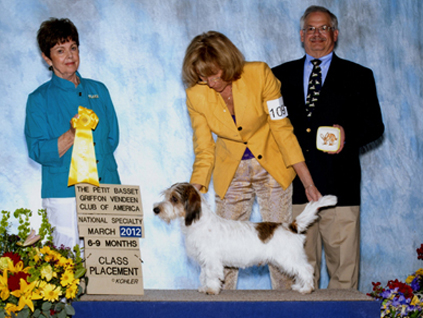 Roscoe at national specialty show